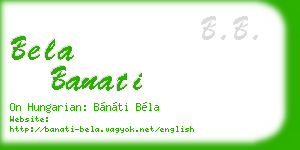 bela banati business card