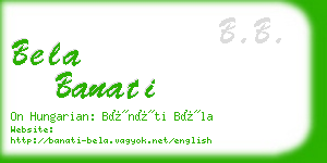 bela banati business card